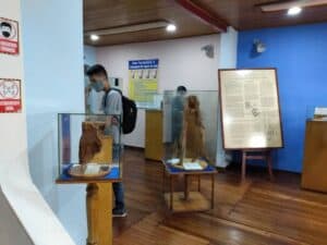 Owner Museo Exposicion Del Hombre 1