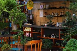 Owner Pacifico Bonsai 1