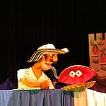 Owner Teatro Hilos Magicos 1