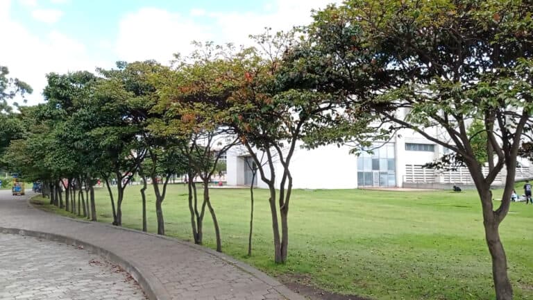 Parque Metropolitano Biblioteca El Tintal 2