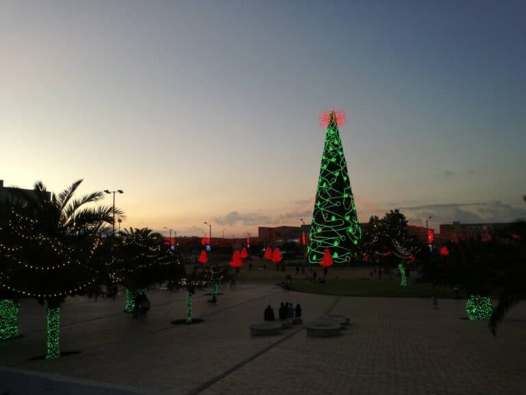 Parque Metropolitano Biblioteca El Tintal 3