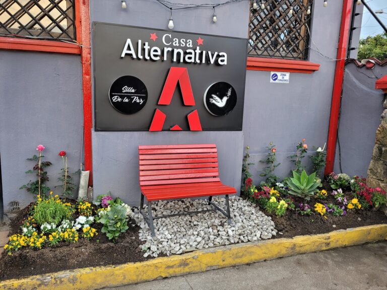 Casa Alternativa 1