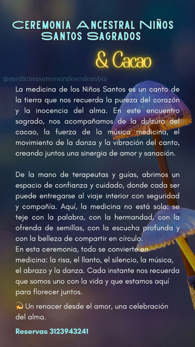 Ceremonia De Hongitos Cacao Psilo Inmersion 2