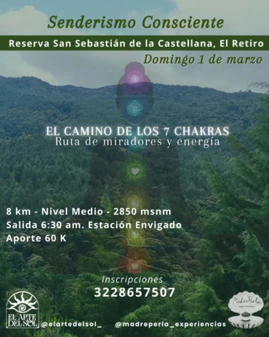 Experiencia De Senderismo Consciente