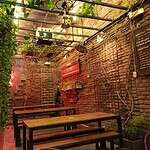 Amplia vista del interior de Lulo Café Bar, con decoración rústica y plantas que crean un ambiente cálido y relajante para disfrutar de bebidas y eventos sociales.