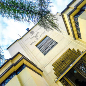 Owner Palacio De Bellas Artes Medellin 1