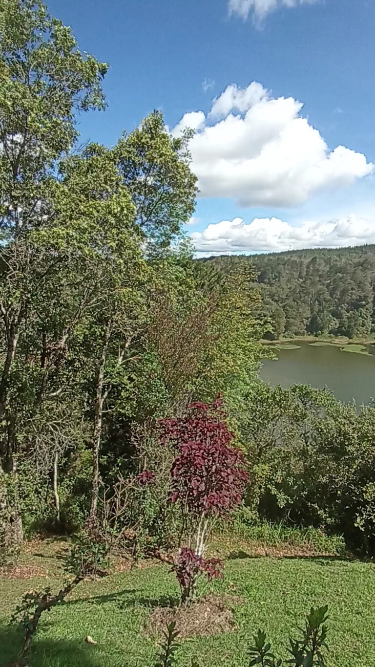 Parque Ecologico Piedras Blancas 2