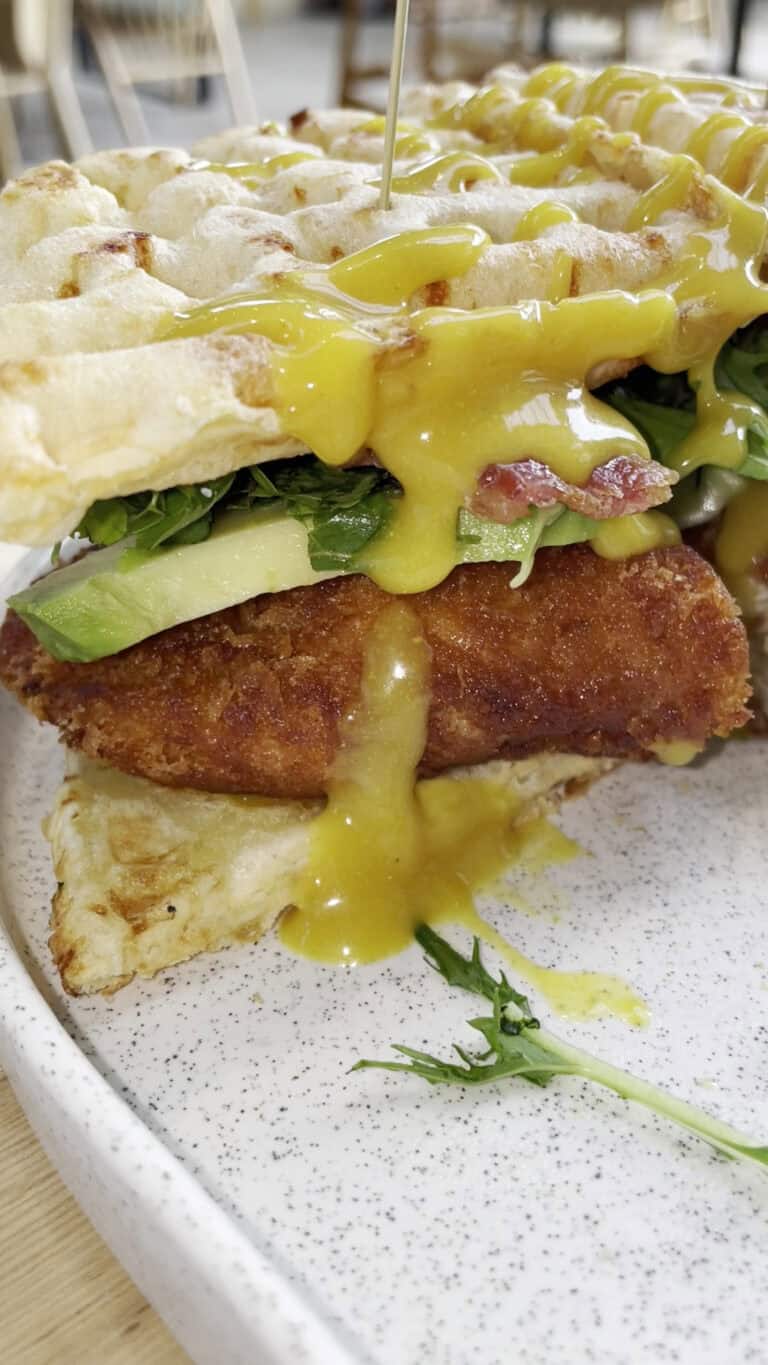 Plato de comida campestre con pollo frito, ensalada y salsa en un evento al aire libre en Seré, ideal para celebraciones rurales y reuniones familiares.