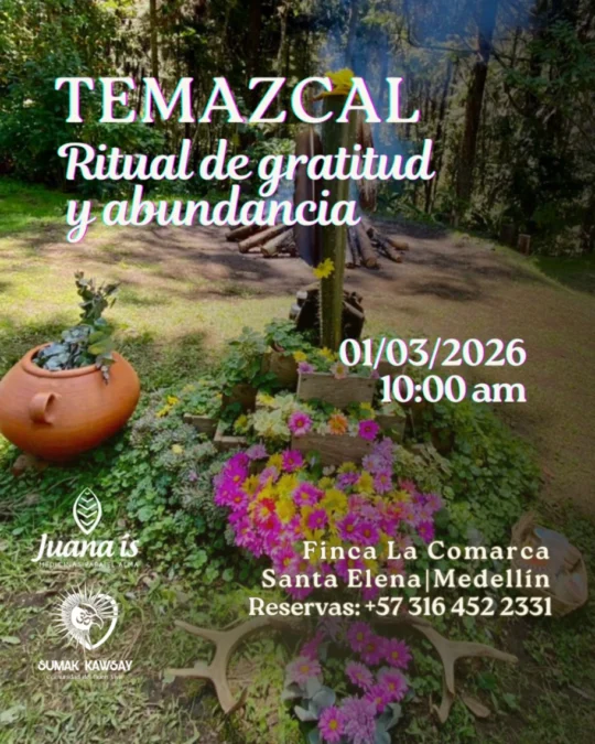 Temazcal Ritual De Gratitud Y Abundancia