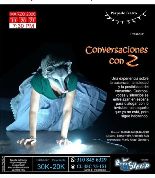 Conversaciones Con Z