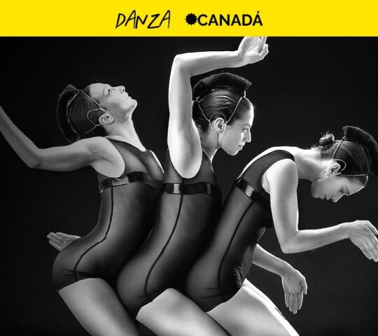 Henri Michaux  Movimientos Y 24 Preludios De Chopin