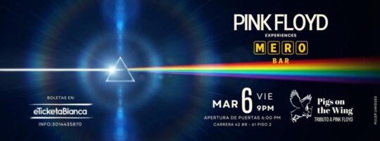 Pink Floyd Experiencies  Pigs On The Wing  Tributo Pink Floyd