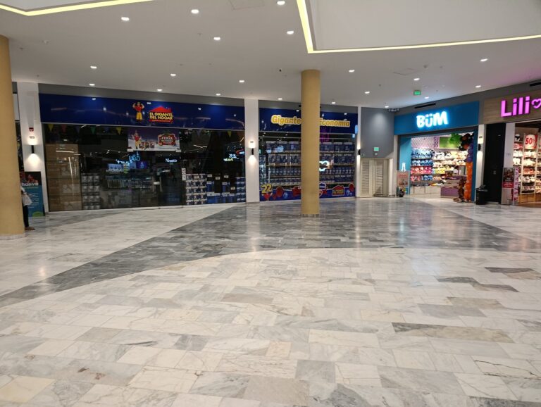 Centro Comercial Gran Manzana 1