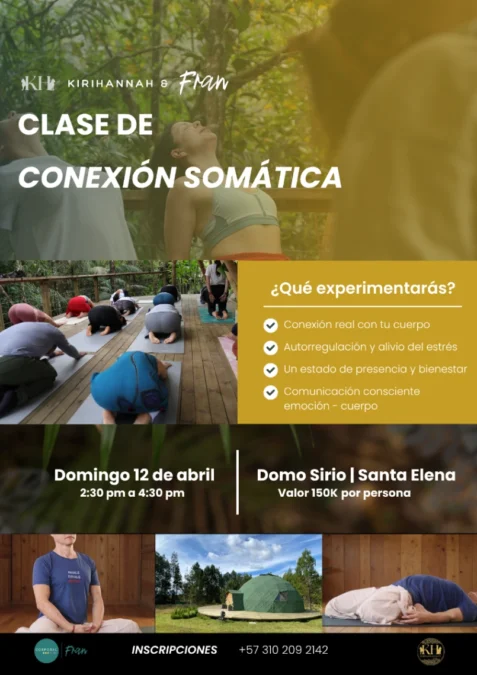 Clase De Conexion Somatica