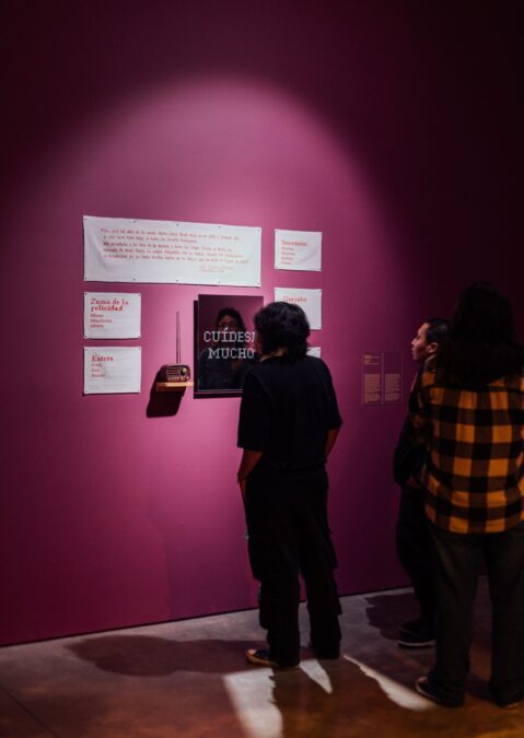 Foto Vert Recorrido Comentado Eventario Mamm