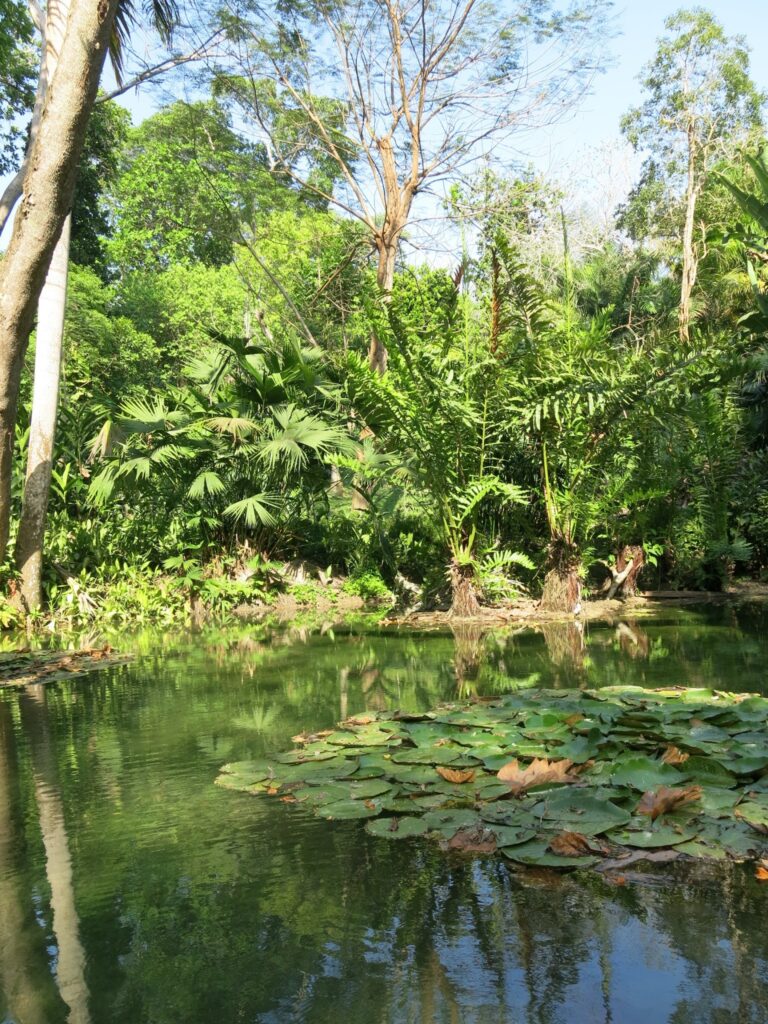 Jardin Botanico De Cartagena 8220guillermo Pineres 1
