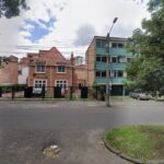 Owner Lobo De Paramo 1