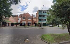 Owner Lobo De Paramo 1