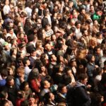 Owner Royal Center 1