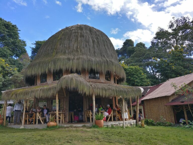 Varsana Eco Yoga Aldea 1