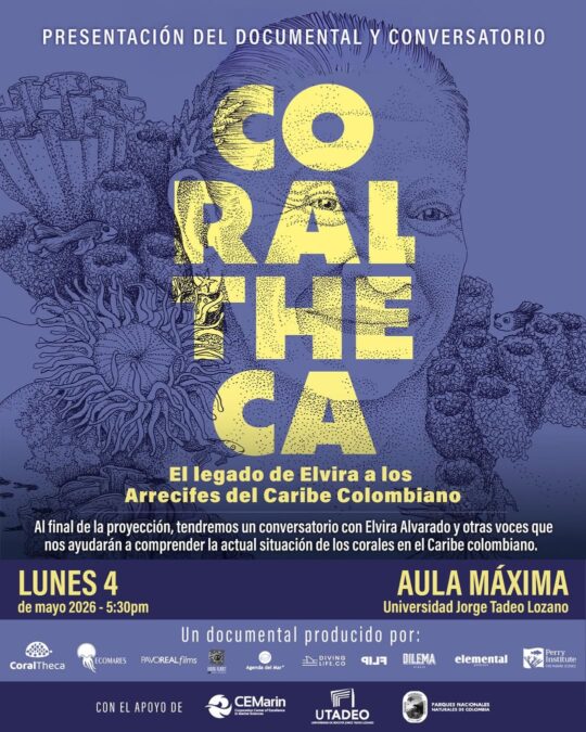 672413108 18044578031754246 2611360531141731692 N