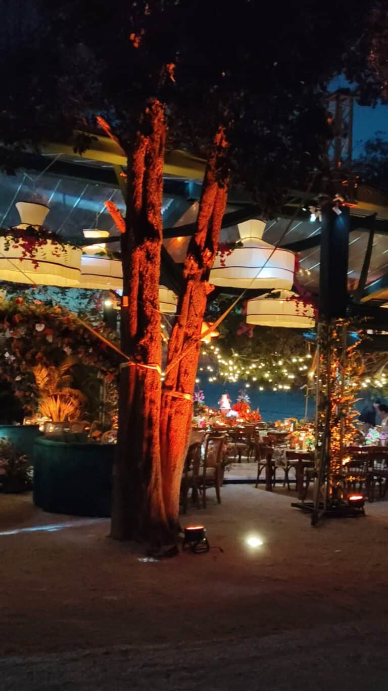 Árbol decorado en Casa Kapikua, evento en un entorno natural y elegante.