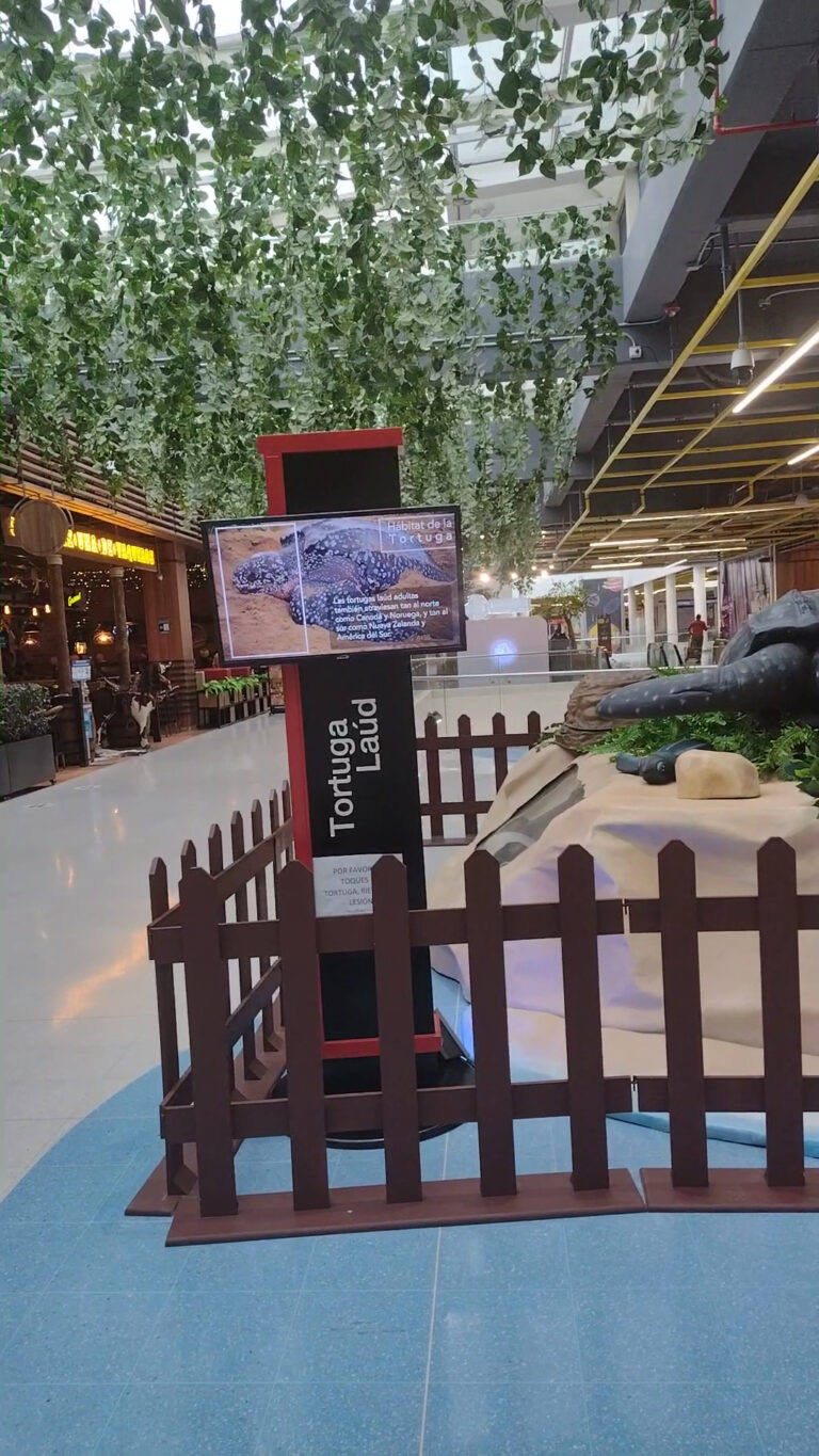 Centro Comercial Paseo Villa Del Rio 2