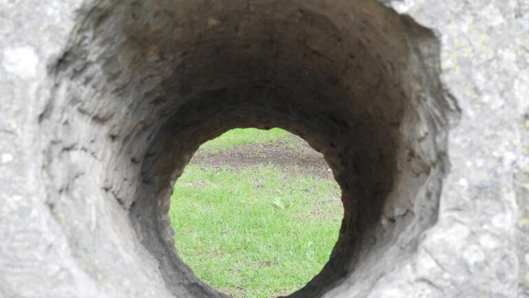 Jardin Botanico De Bogota Jose Celestino Mutis 2