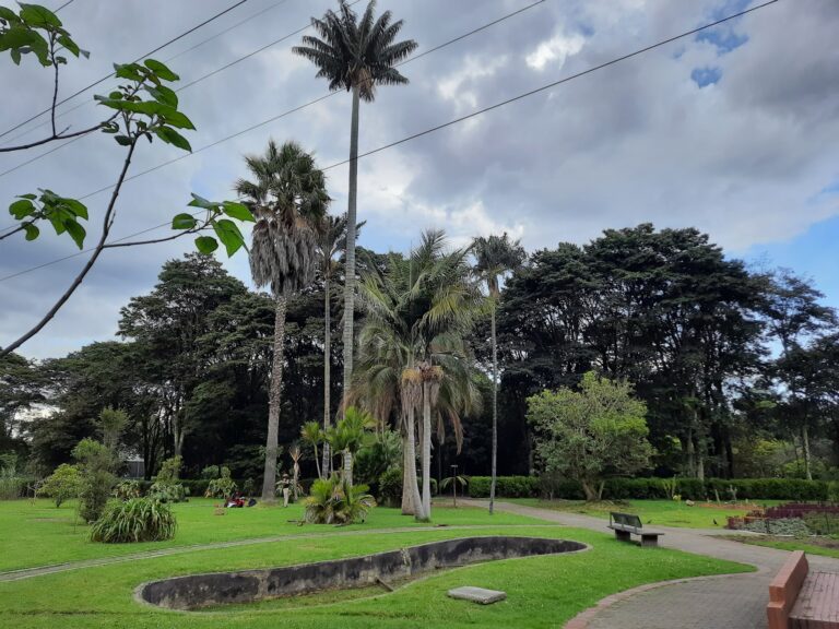 Jardin Botanico De Bogota Jose Celestino Mutis 4