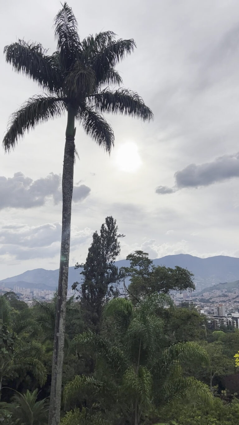 Museo Del Transporte 2