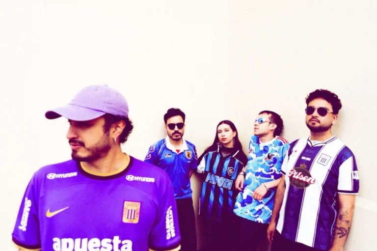 Nebulosa Niebla En Concierto 2