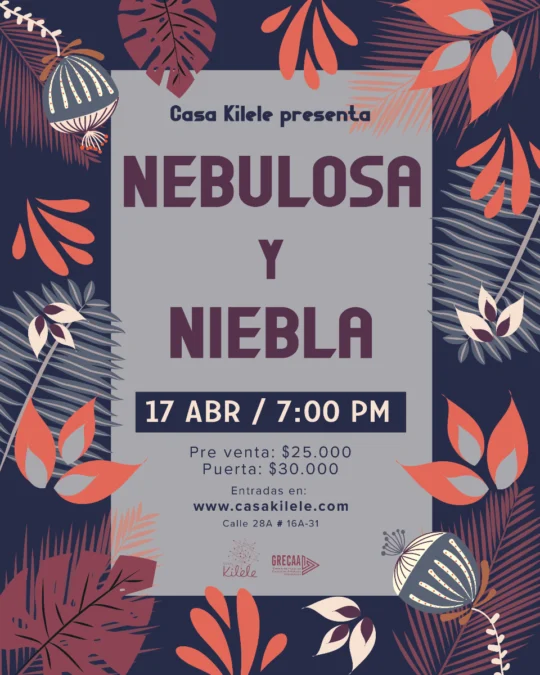 Nebulosa Niebla En Concierto