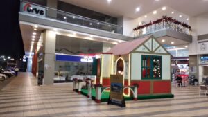 Owner Mall Llanogrande 1