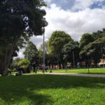 Owner Parque De La 93 1