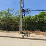 Owner Plaza De Variedades 1