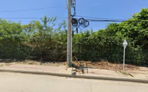 Owner Plaza De Variedades 1