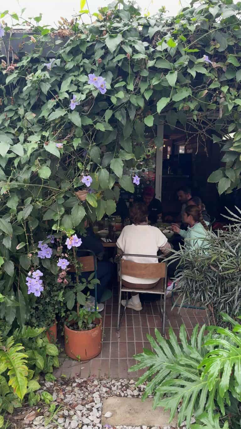 Imagen de un espacio de descanso con plantas verdes y flores de sol girasol, donde varias personas disfrutan de una reunión en un ambiente natural y acogedor.