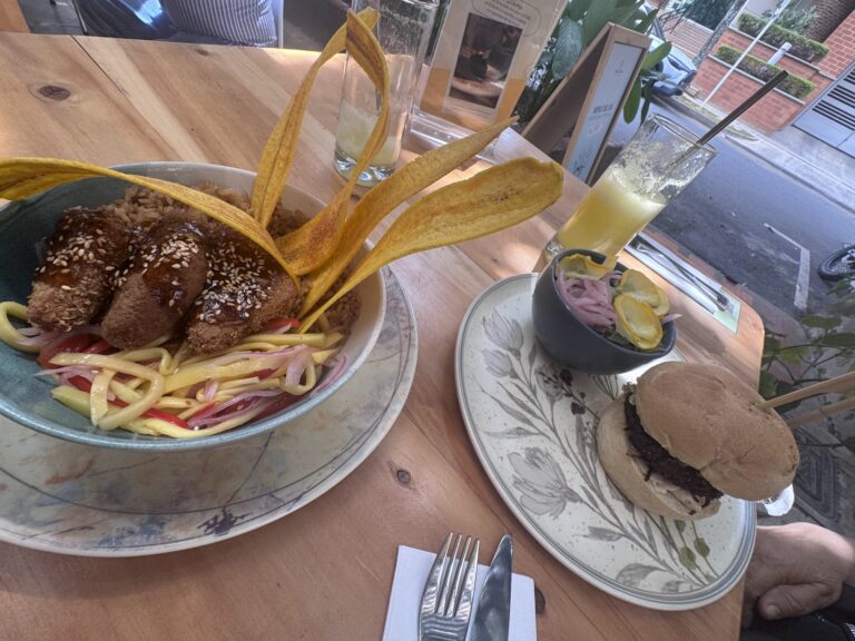 Vegan Amp Veggie Laureles 4