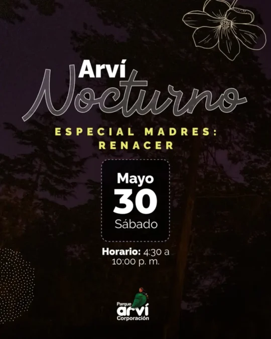 Arvi Nocturno - Image 6623