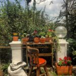 Botanico Hostel