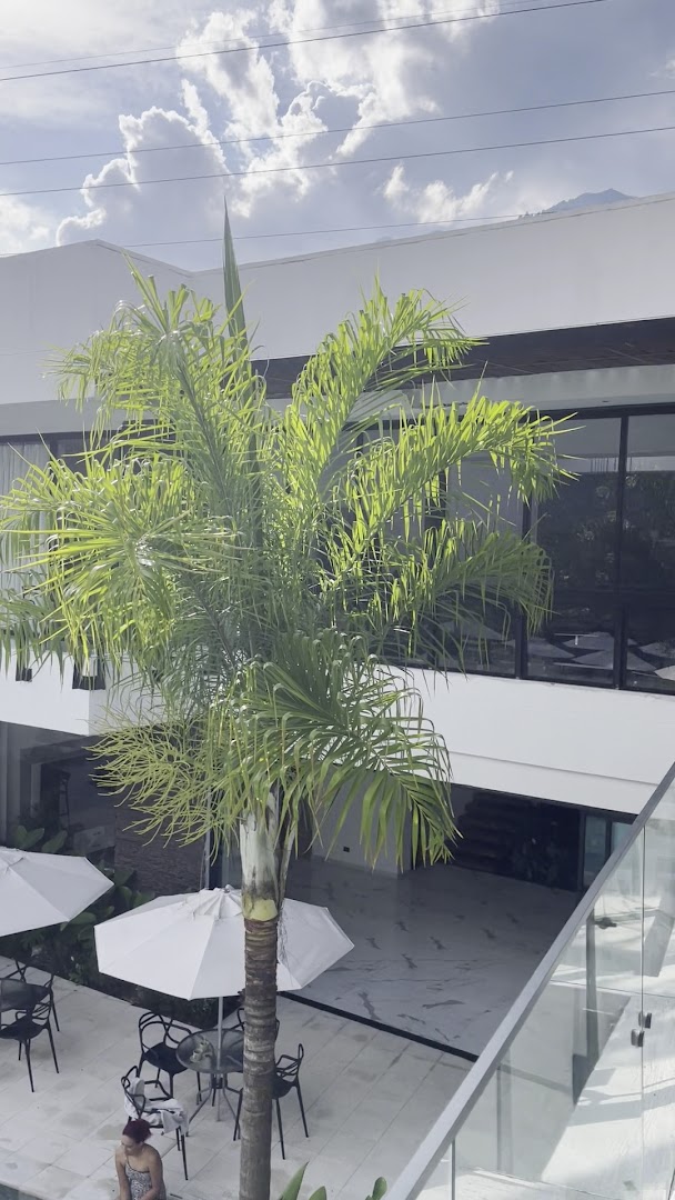 Casa Noral Hotel2