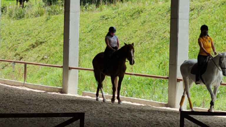 EQUUS2