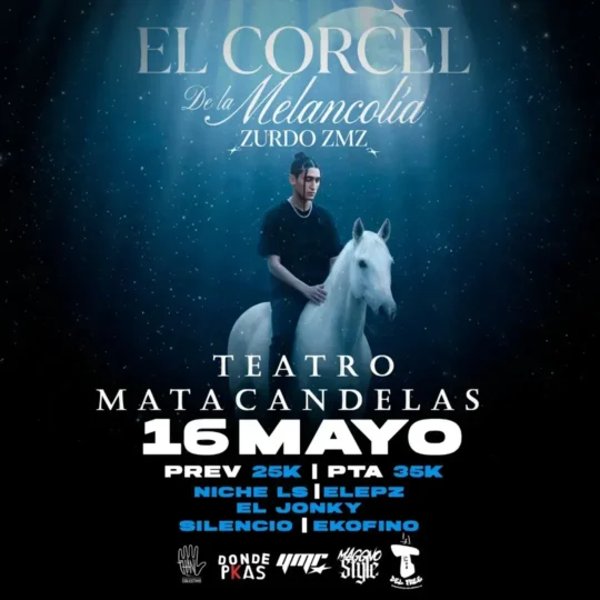 El Corcel De La Melancolia