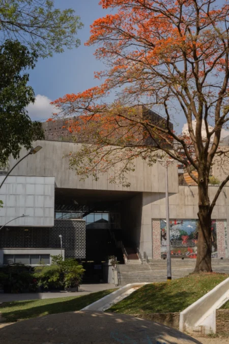 Día Internacional de los Museos en el MAMM - Image 01