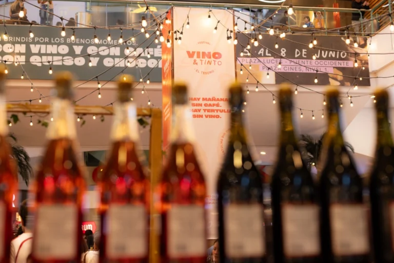 Festival Vino Tinto Cuarta Edicion 3