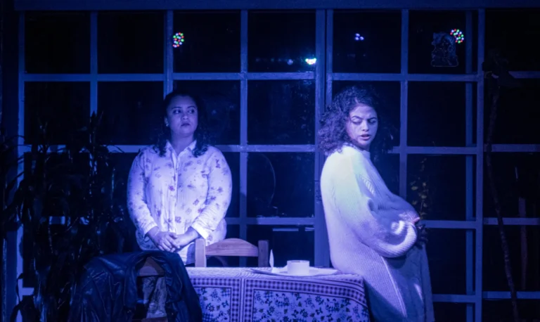 Obra de Teatro: La Visita - Image 02