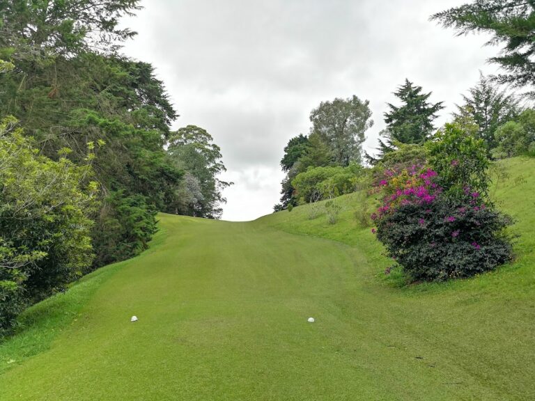 LA MACARENA RIONEGRO | Golf -Tennis – Food & Drinks – Playground – Events - Image 03