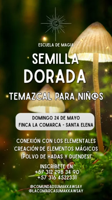 Temazcal Para Nins