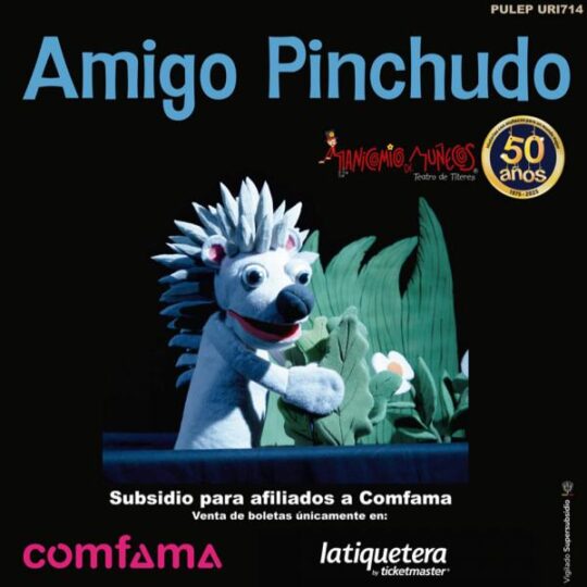 Amigo Pinchudo Medellin - Image 7507