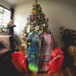 Nopopular skateboards